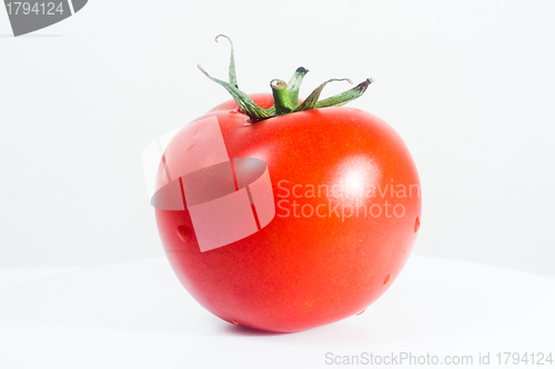 Image of Fresh tomato