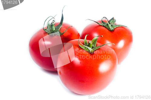 Image of Fresh tomato