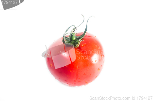 Image of Fresh tomato