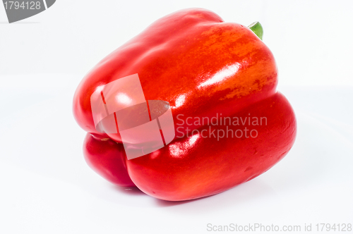 Image of Bulgarian pepper