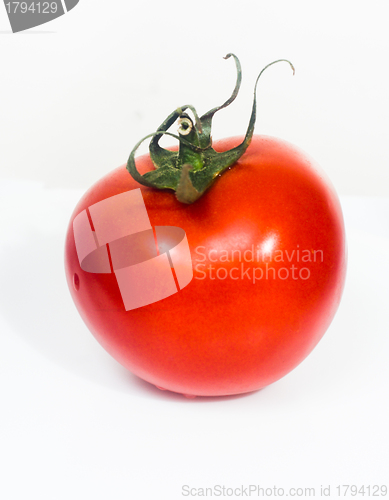 Image of Fresh tomato