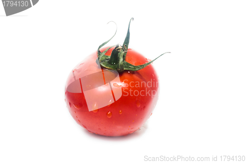 Image of Fresh tomato