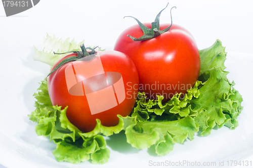 Image of Fresh tomato