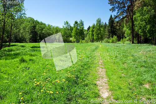 Image of Summer landscape