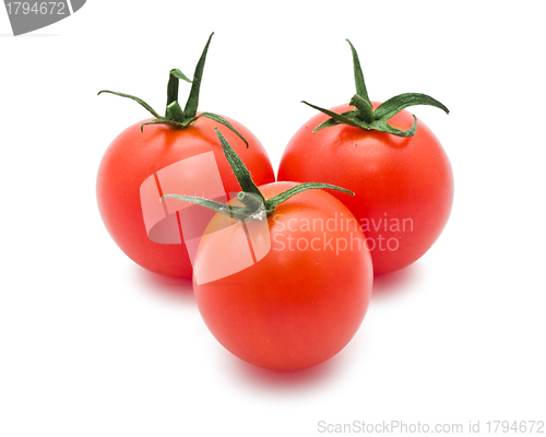 Image of Tomato