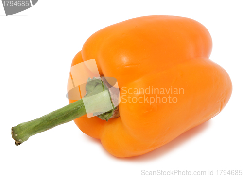 Image of Bell pepper