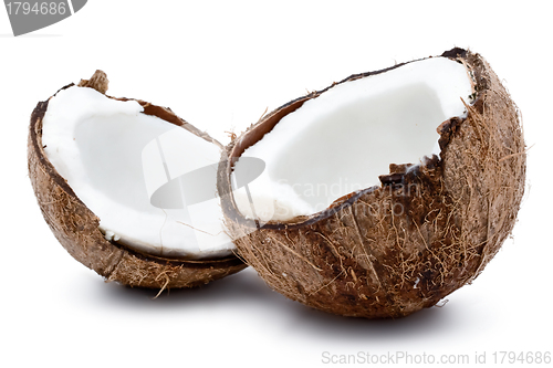 Image of Fresh coconut