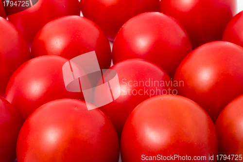 Image of Tomatos