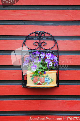 Image of Flowers on red wall