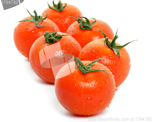 Image of Arrangement of Fresh Tomatoes