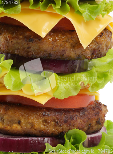 Image of Tasty Double Cheeseburger close up