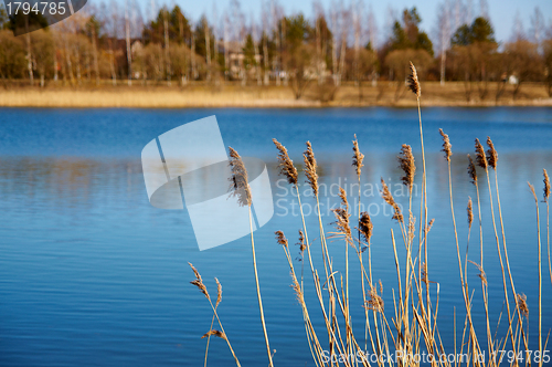 Image of Spring landscape