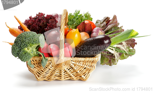 Image of Vegetable Basket