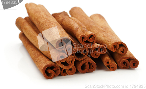 Image of Cinnamon 