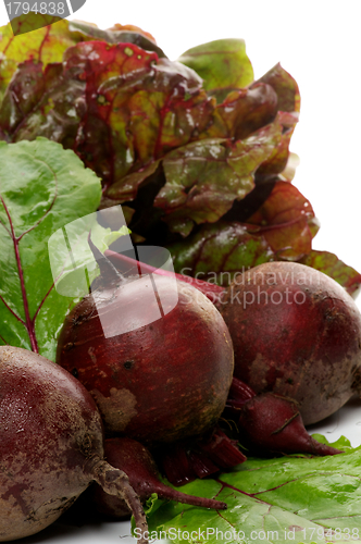 Image of Bunch of Perfect Raw Beets and haulm