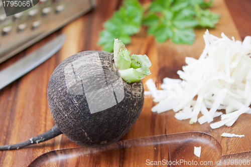 Image of Black radish rub on a small grater