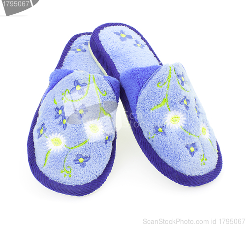 Image of One pair of blue slippers