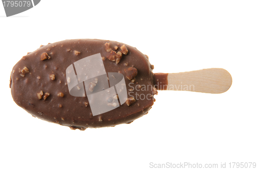 Image of Chocolate Popsicle