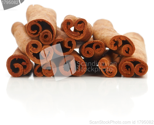 Image of Cinnamon 