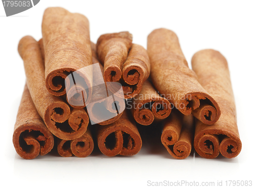 Image of Cinnamon 