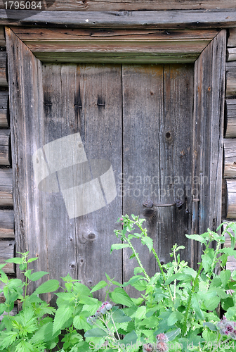 Image of Shabby Door of Abandoned Barn