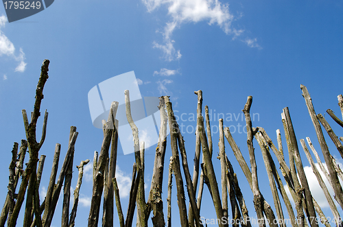 Image of Fence made of tree branches on blue cloudy sky 