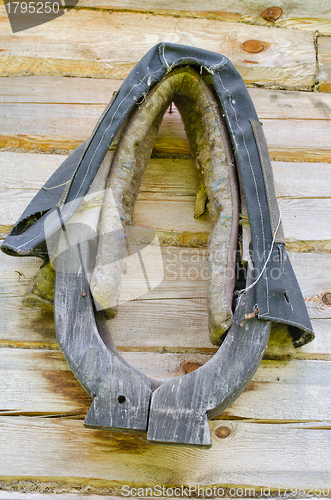 Image of Horse harness hang on old homestead log house wall 