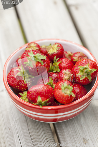 Image of Fresh strawberries