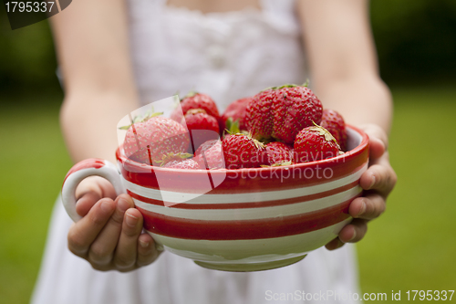 Image of Fresh strawberries