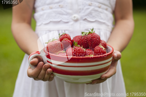 Image of Fresh strawberries