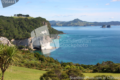 Image of Coromandel