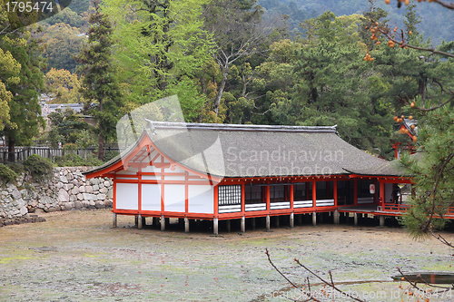 Image of Itsukushima