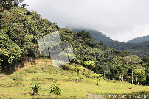 Image of Malaysia