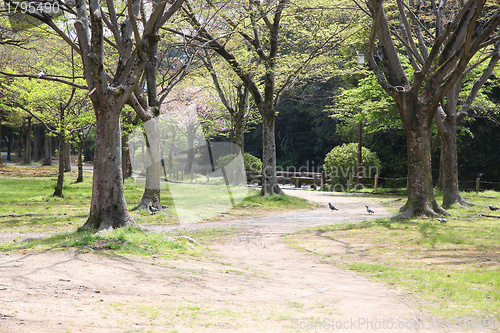 Image of Himeji park