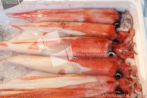 Image of Tokyo seafood market