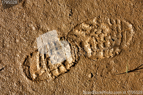 Image of Shoe print