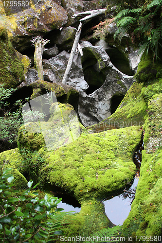 Image of Mossy stones