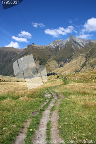 Image of Mount Aspiring National Park