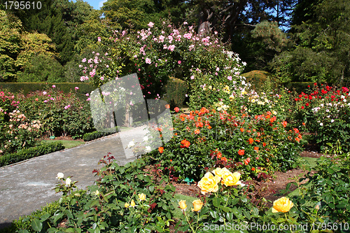 Image of Botanic garden