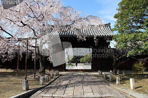 Image of Kyoto