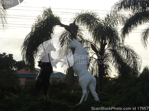 Image of Arabian Horses