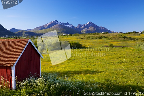 Image of Lofoten islands