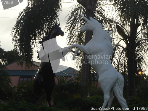 Image of Two Arabian Horses