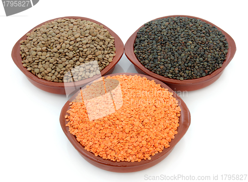 Image of Lentil Varieties