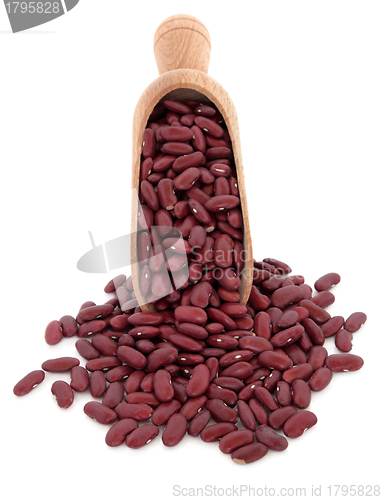 Image of Kidney Beans