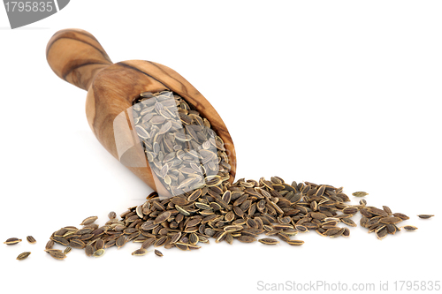 Image of Dill Seed