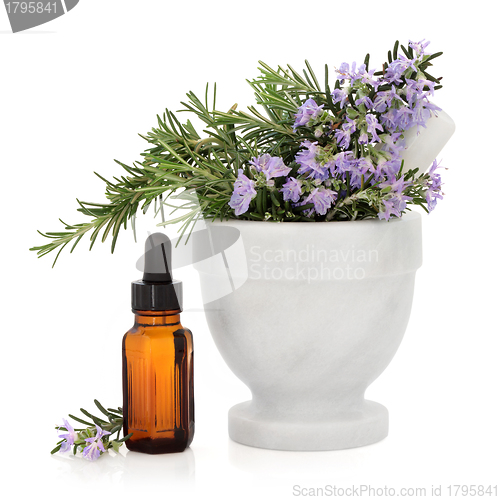 Image of Rosemary Herb Essence