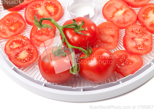 Image of Fresh tomato on food dehydrator tray