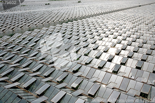 Image of Greenhouses