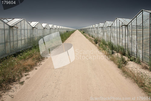 Image of Greenhouses